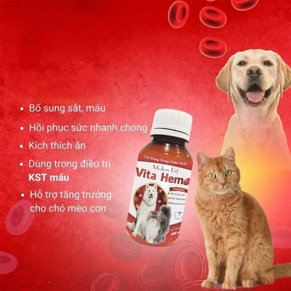 VITA HEM Hỗ Trợ Tạo Máu, Kích Thích Thèm Ăn