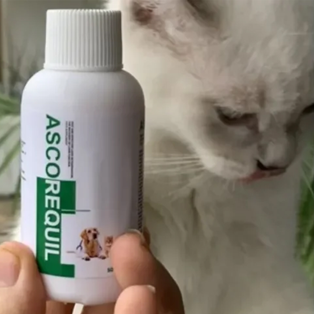 ASCOREQUIL Dung Dịch Uống Hỗ Trợ Chức Năng Gan Và Thải Độc Gan