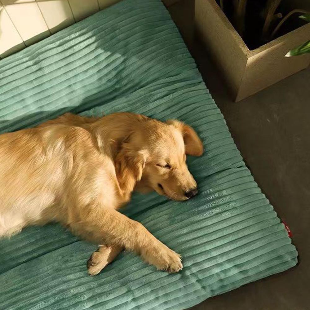 Nệm Cho Chó Mèo - Ổ Nệm Giường Nằm Phẳng Cho Chó Mèo