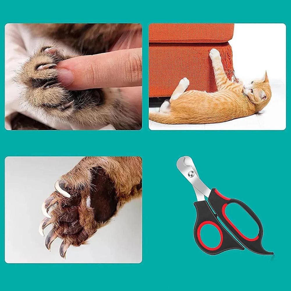 Chăm Sóc Móng - Kềm Cắt Móng Và Dũa Móng Dành Cho Mèo