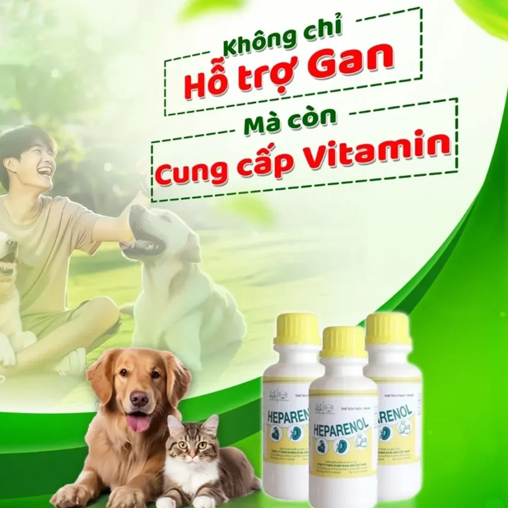 HEPARENOL Thuốc Bổ Gan Mật
