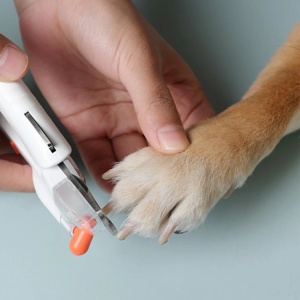 Chăm Sóc Móng - Kềm Cắt Móng Có Đèn LED Cho Chó Mèo, Có Thể Sạc