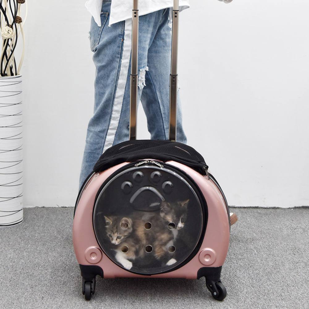 Balo, Vali Vận Chuyển Chó Mèo Có Bánh Xe Kéo Tiện Lợi, Hàng Cao Cấp