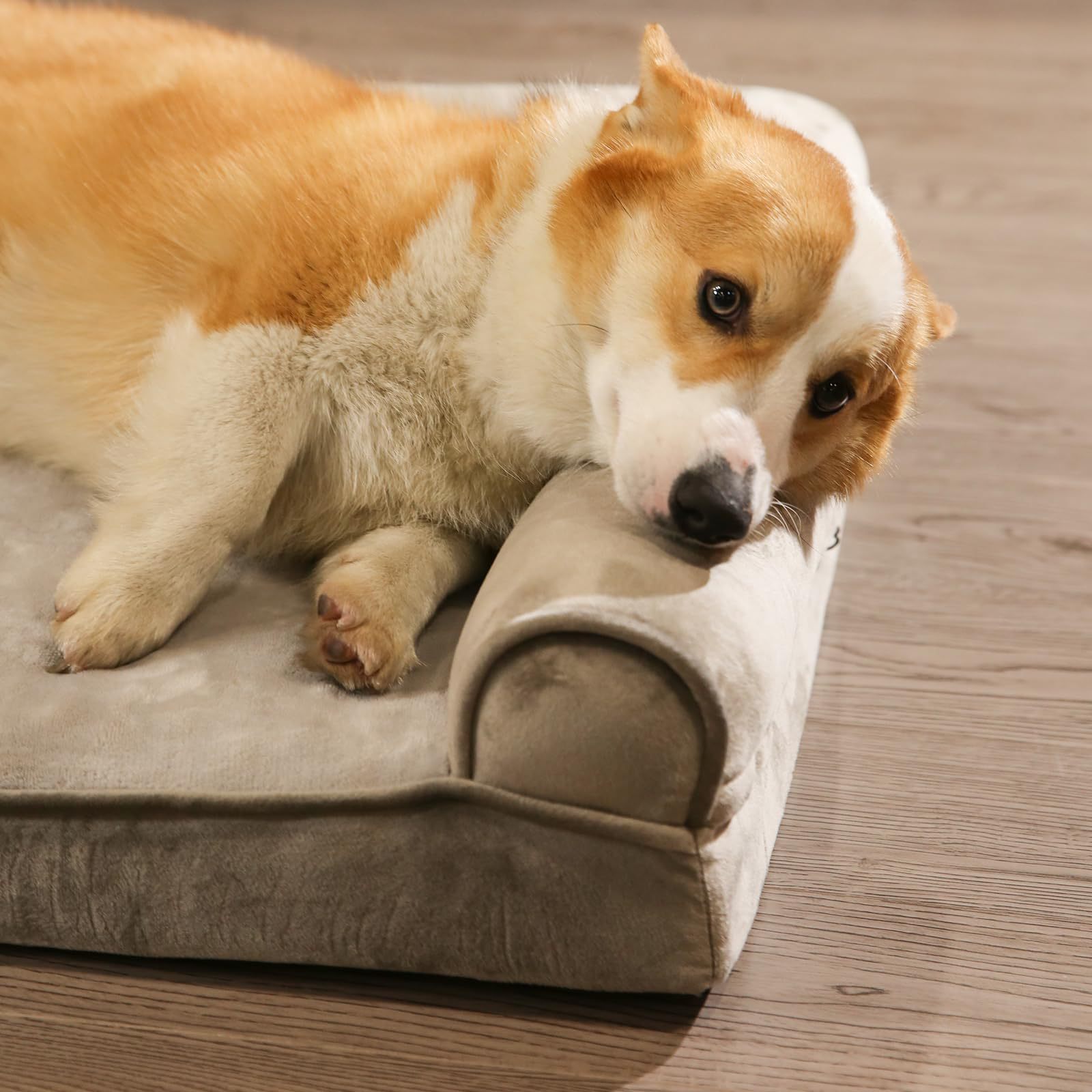 Nệm Cho Chó Mèo - Nệm Và Gối Chứ U, Giường Nệm Cho Chó Mèo