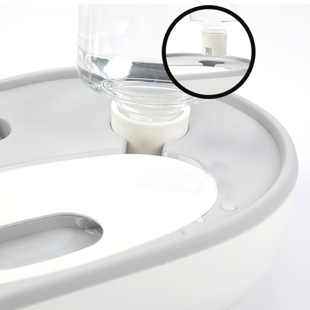 Bát Ăn Chén Ăn - Khay Ăn Hình Trái Tim Có Bình Nước Tự Động Cho Chó Mèo