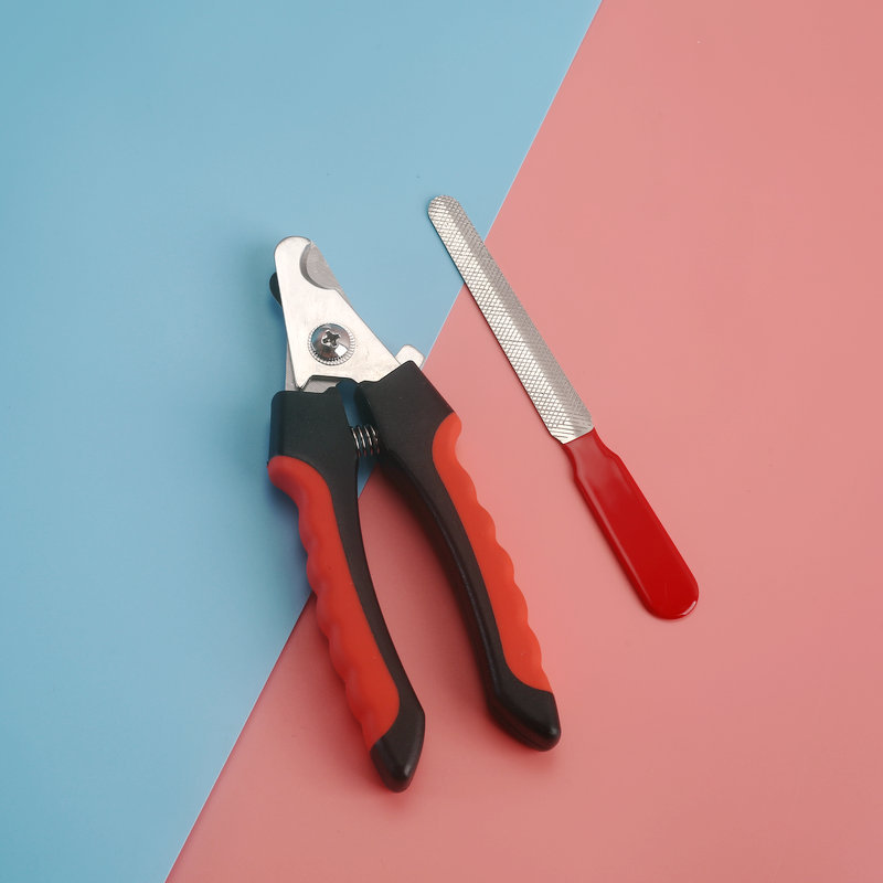 Chăm Sóc Móng - Kềm Cắt Móng Và Dũa Móng Dành Cho Mèo