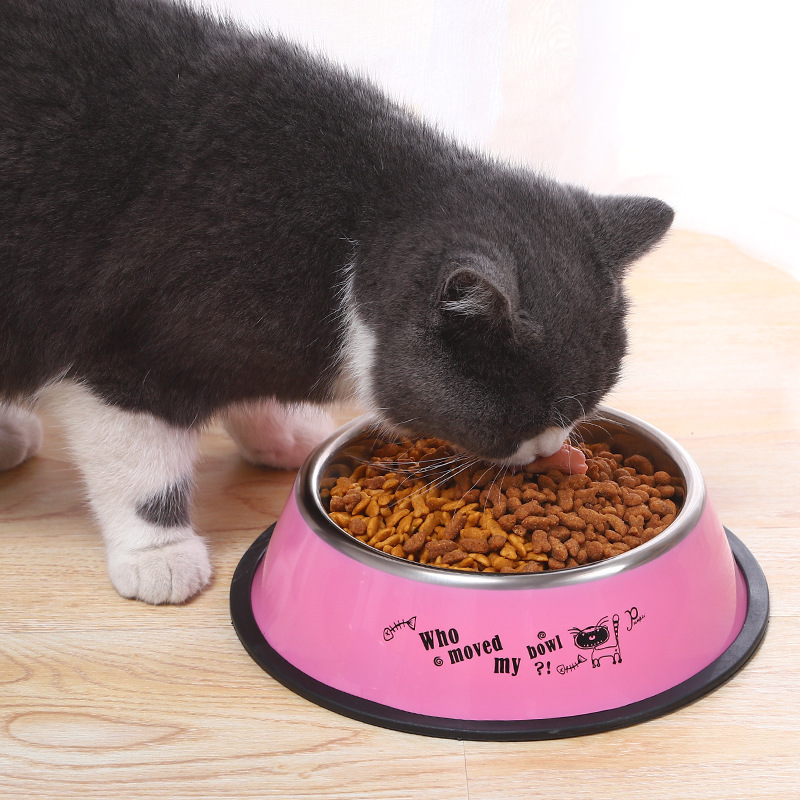 Bát Ăn Chén Ăn - Chén Inox Đế Cao Su Nhiều Màu Hình Thú Dành Cho Chó Mèo