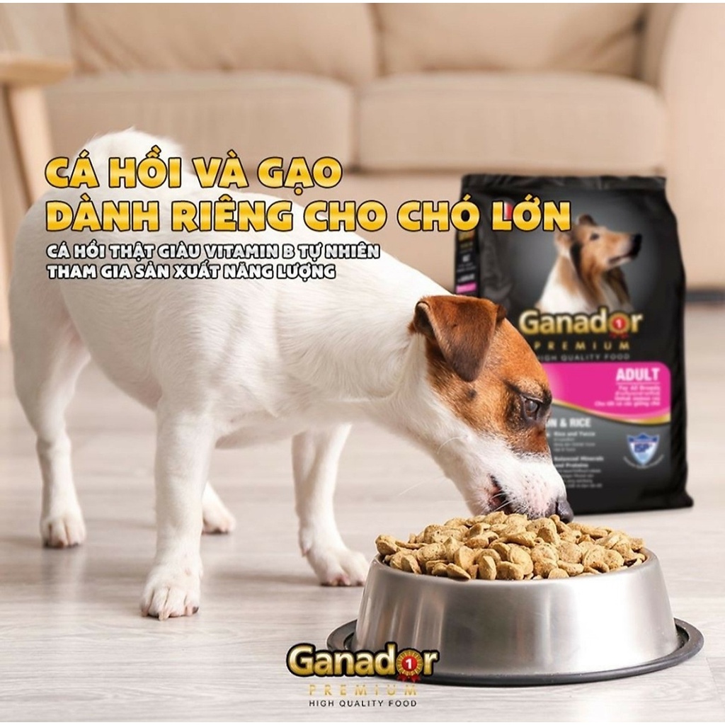 GANADOR Thức Ăn Hạt Khô Cho Chó Con Và Chó Trưởng Thành