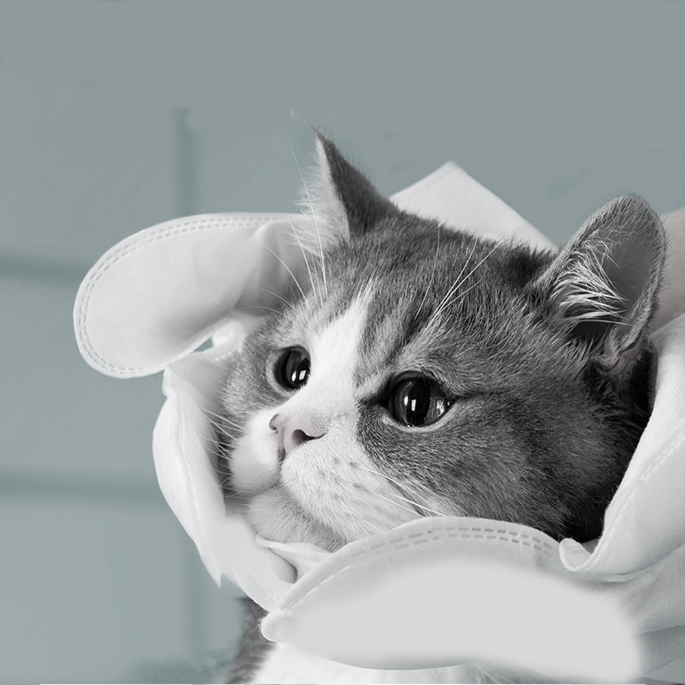 DONO Găng Tay Lau Dọn, Vệ Sinh Chó Chó Mèo