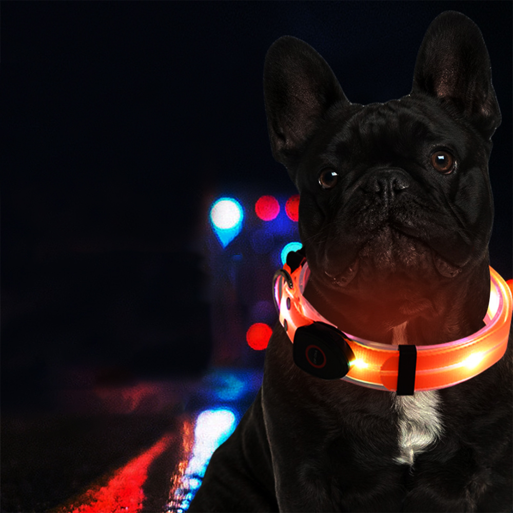 Dây Dẫn Chó Mèo - Vòng Cổ và Dây Dẫn Chó Mèo Có Đèn LED Phát Sáng