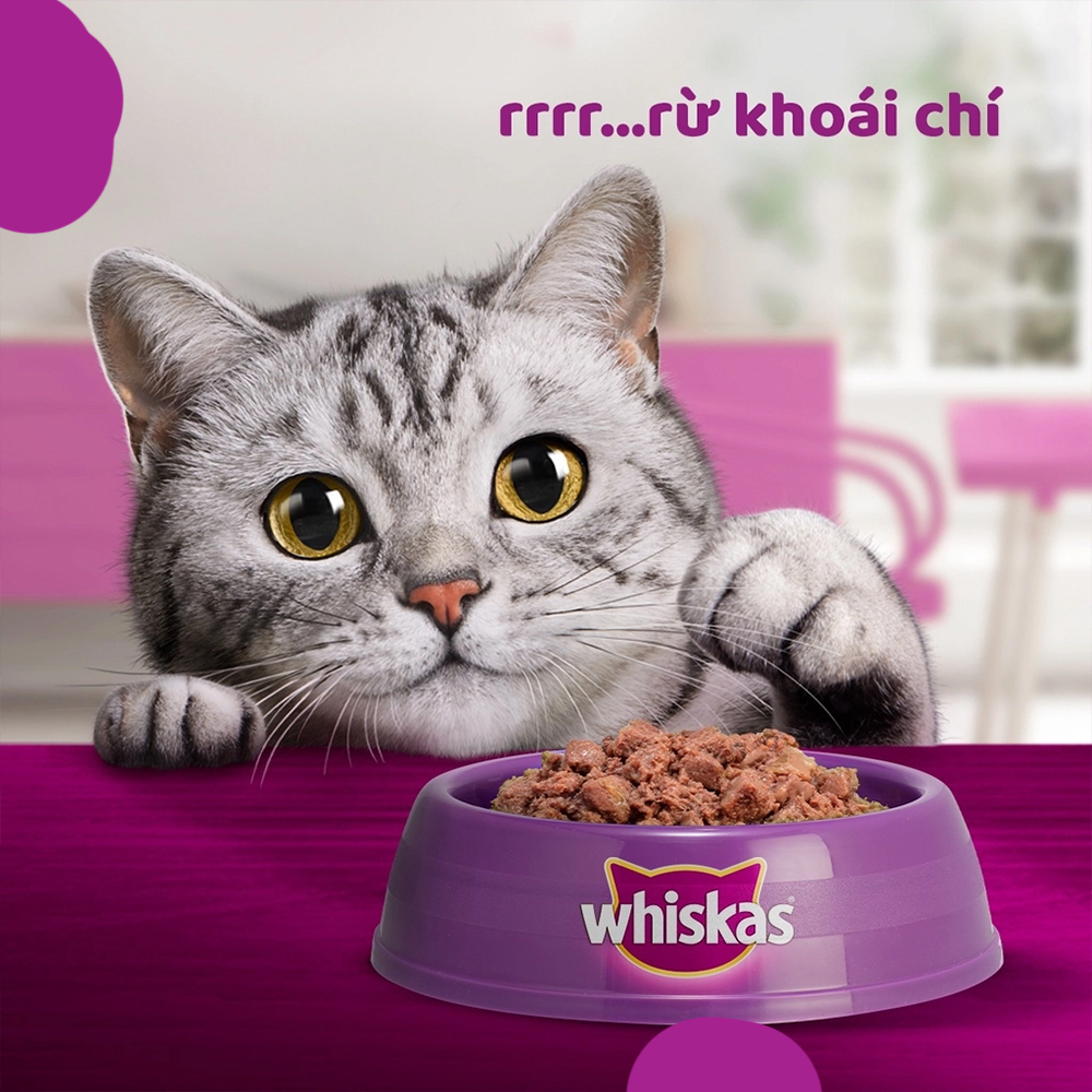 WHISKAS Junior (80g) Pate Cho Mèo Con Dưới 12 Tháng Tuổi Vị Cá Thu, Cá Ngừ