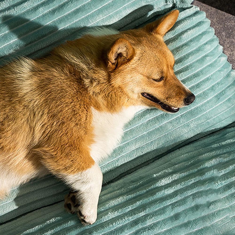 Nệm Cho Chó Mèo - Ổ Nệm Giường Nằm Phẳng Cho Chó Mèo