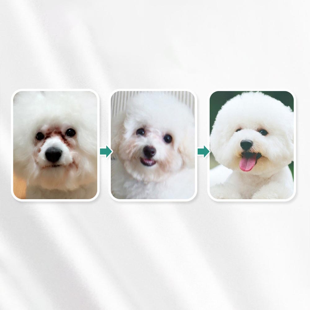 DORRIKEY (200 miếng) Khăn Lau Vệ Sinh Tai Dành Cho Chó Mèo