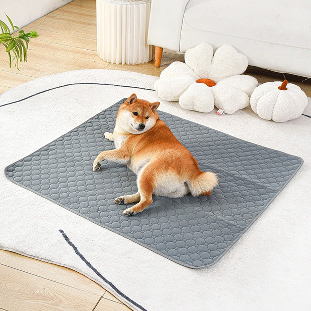 Thảm Chống Thấm, Thảm Đi Vệ Sinh Cho Chó Mèo Có Thể Tái Sử Dụng Nhiều Lần