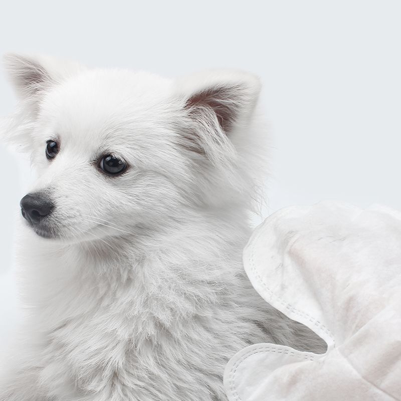 DONO Găng Tay Lau Dọn, Vệ Sinh Chó Chó Mèo