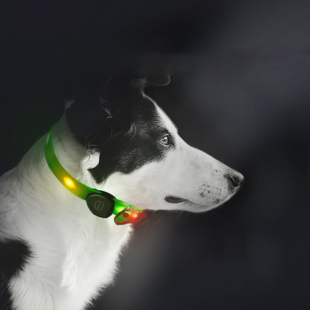 Dây Dẫn Chó Mèo - Vòng Cổ và Dây Dẫn Chó Mèo Có Đèn LED Phát Sáng