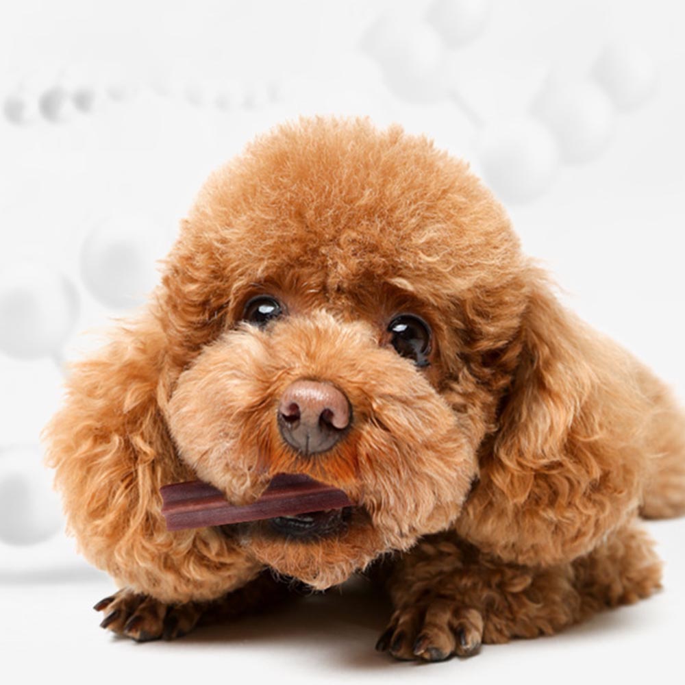 YAHO (200g) Bánh Thưởng Snack Thưởng - Bánh Thưởng Làm Sạch Răng Thơm Miệng Hình Ngôi Sao