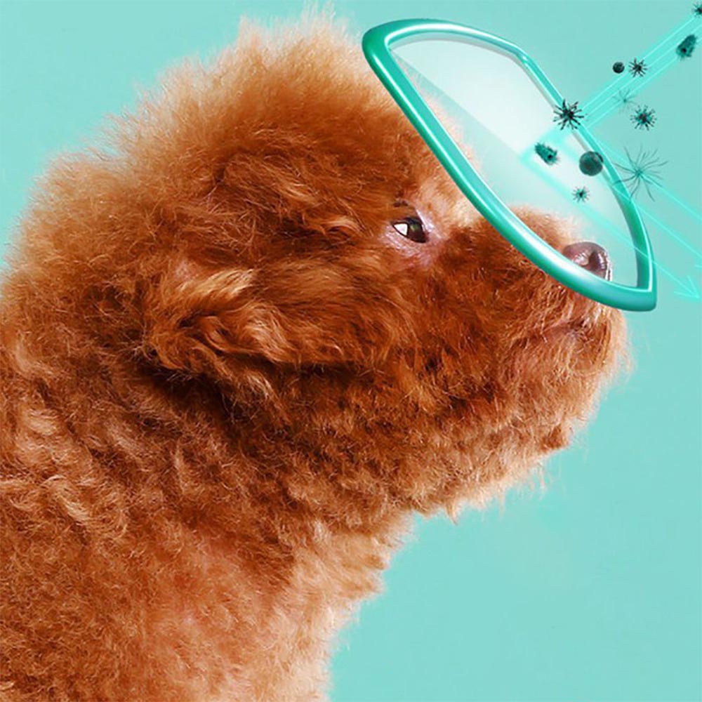 DORRIKEY (200 miếng) Khăn Lau Vệ Sinh Tai Dành Cho Chó Mèo