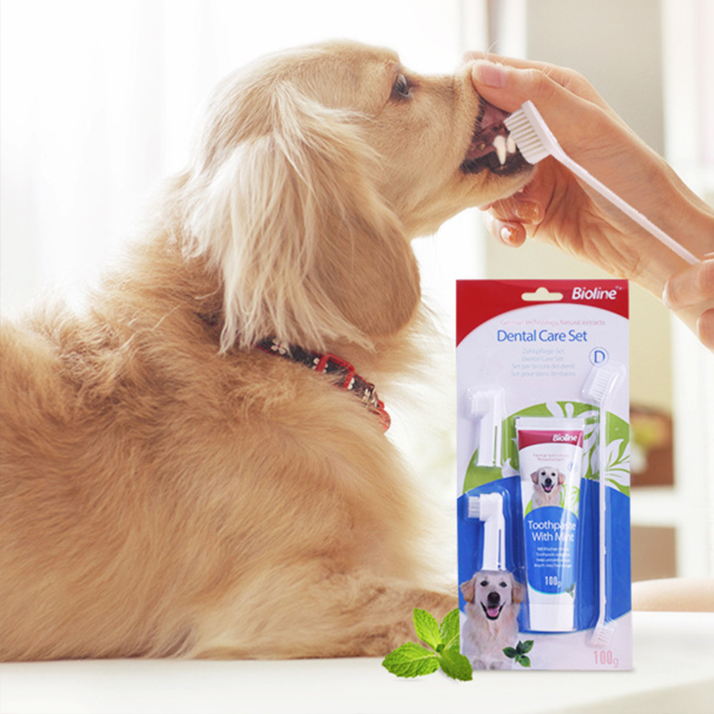 BIOLINE (50g) Bộ Bàn Chải Và Kem Đánh Răng Cho Mèo
