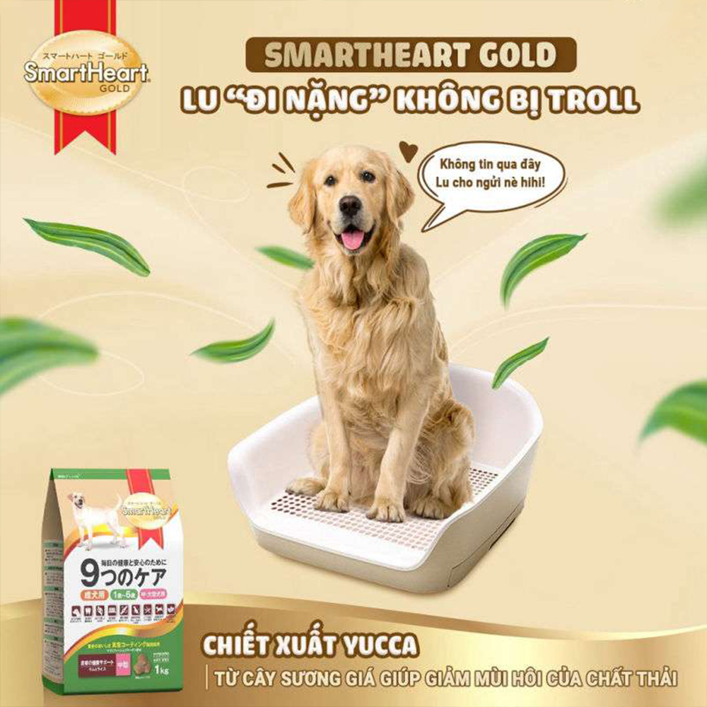 SMARTHEART GOLD (1kg) Thức Ăn Hạt Dinh Dưỡng Cho Chó Con Và Chó Trưởng Thành