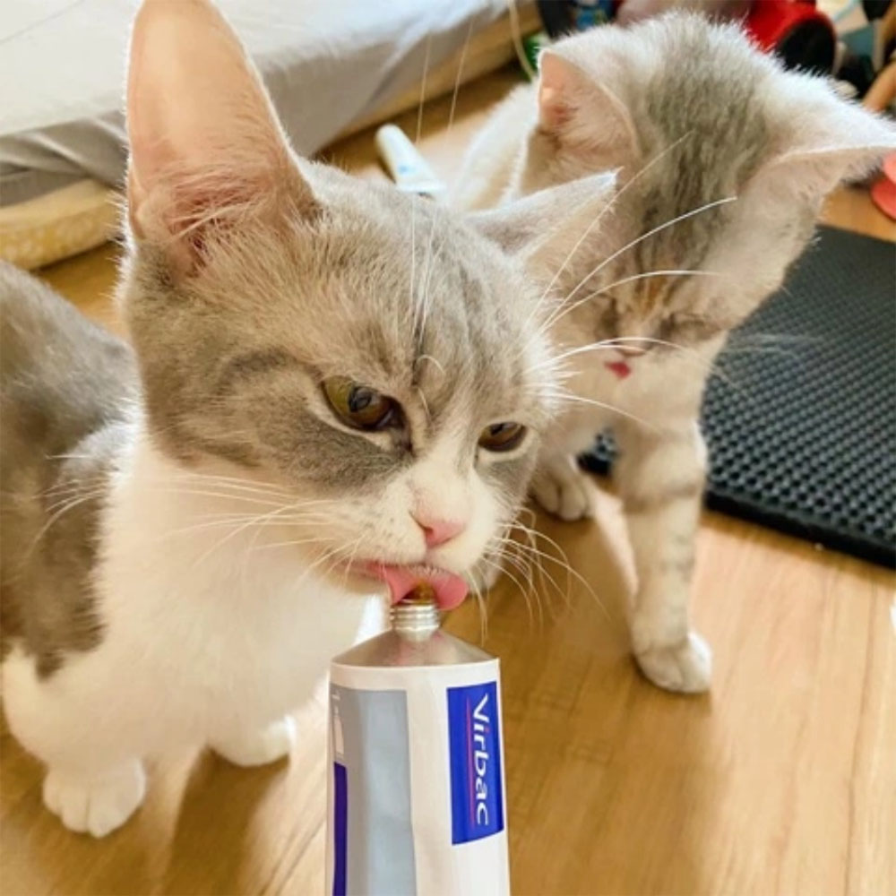 VIRBAC NUTRIGEL 120g - Thực Phẩm Chức Năng Bổ Sung Vitamin