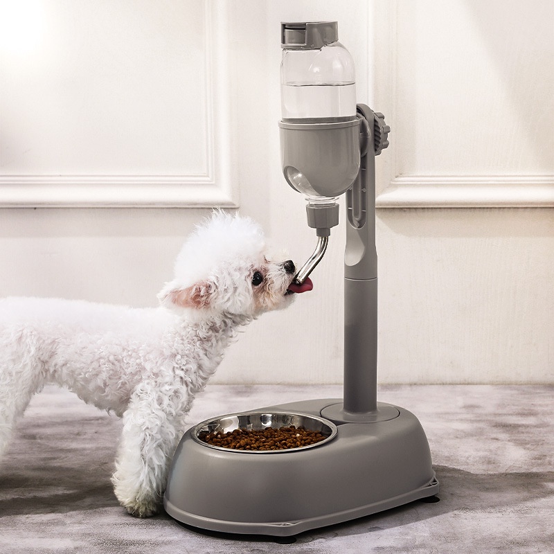 Bát Ăn Chén Ăn - Bình Nước Uống Bi Tự Động Có Chén Ăn