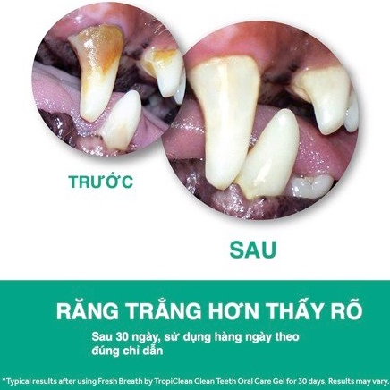 TROPICLEAN (59ml) Gel Làm Sạch Vệ Sinh Răng Miệng Cho Chó Mèo