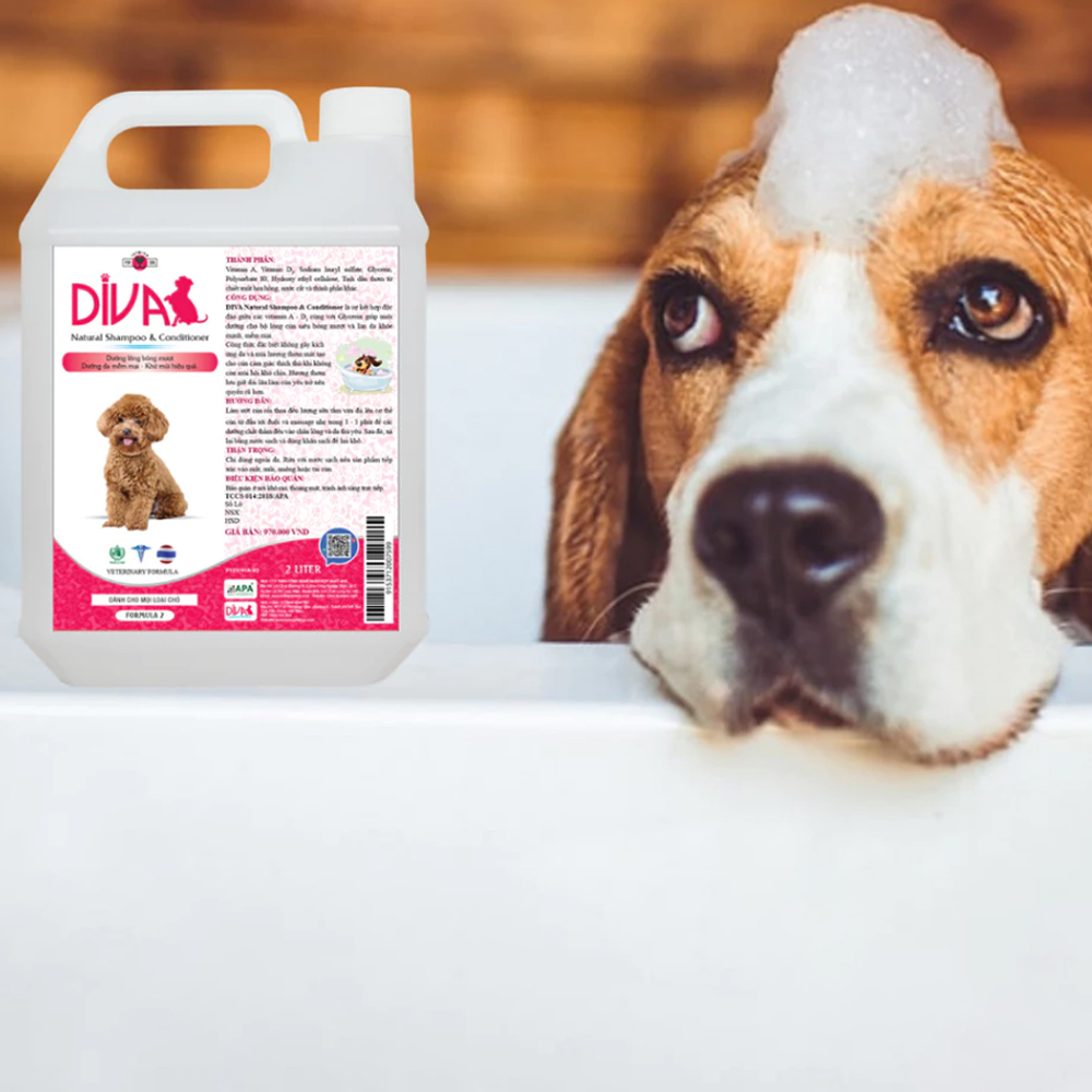 Sữa Tắm DIVA - Sữa Tắm Dành Cho Chó, Sữa Tắm Chuyên Dụng Dùng Cho Spa