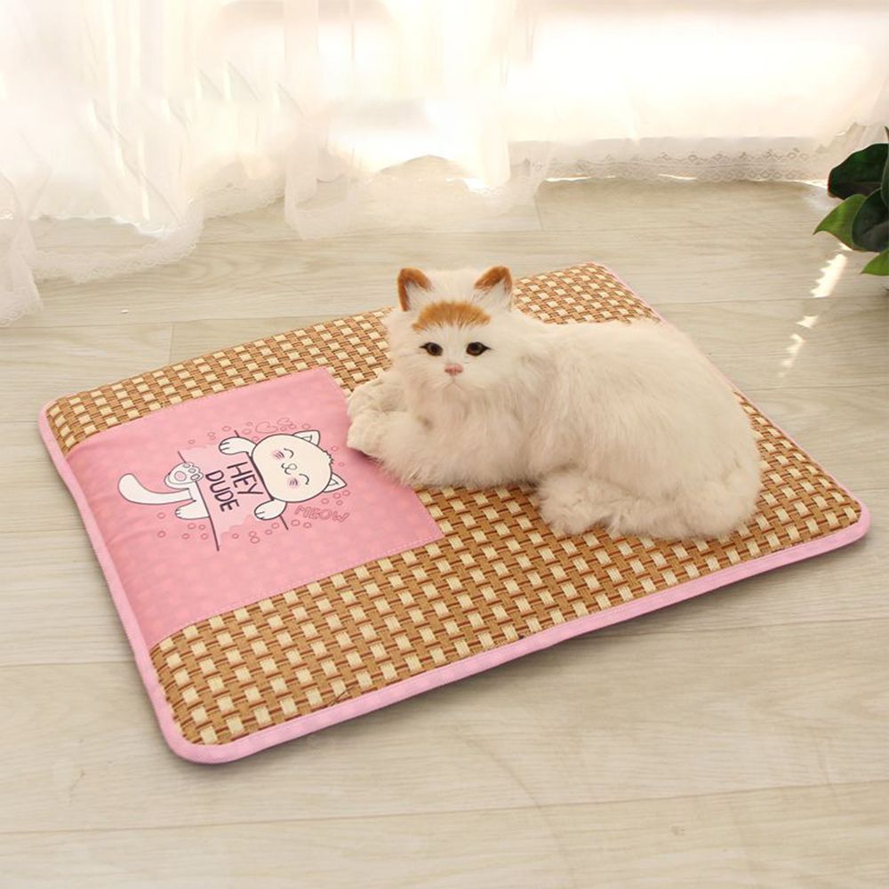 MUI CHOICE - Thức Ăn Hạt Cho Mèo