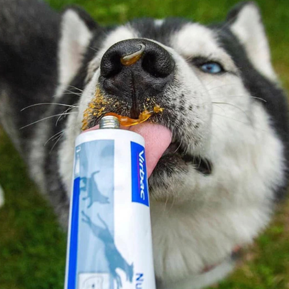 VIRBAC NUTRIGEL 120g - Thực Phẩm Chức Năng Bổ Sung Vitamin