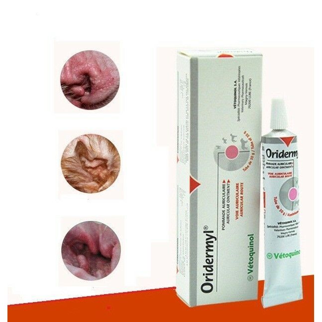 Tuýp ORIDERMYL Gel Nhỏ Tai Trị Nấm, Trị Viêm