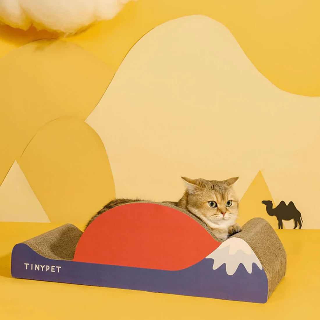 Đồ Chơi Cho Mèo - Bàn Cào Móng Cho Mèo Nhiều Hình Dạng