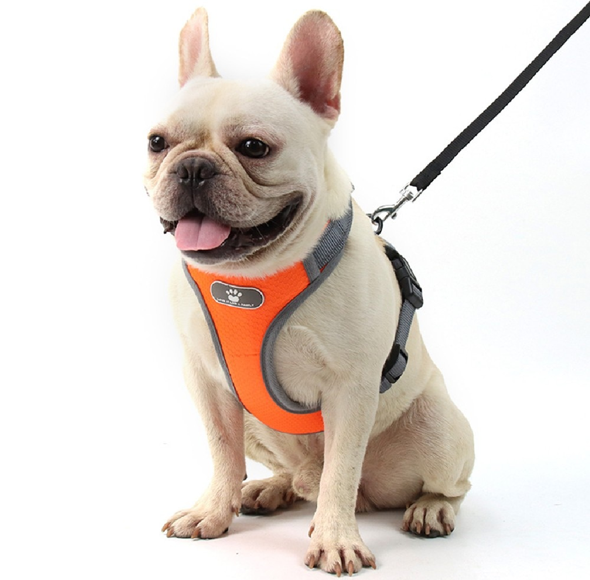 Dây Dẫn Chó Mèo - Yếm Dắt Chó Mèo Đi Dạo (không kèm dây)