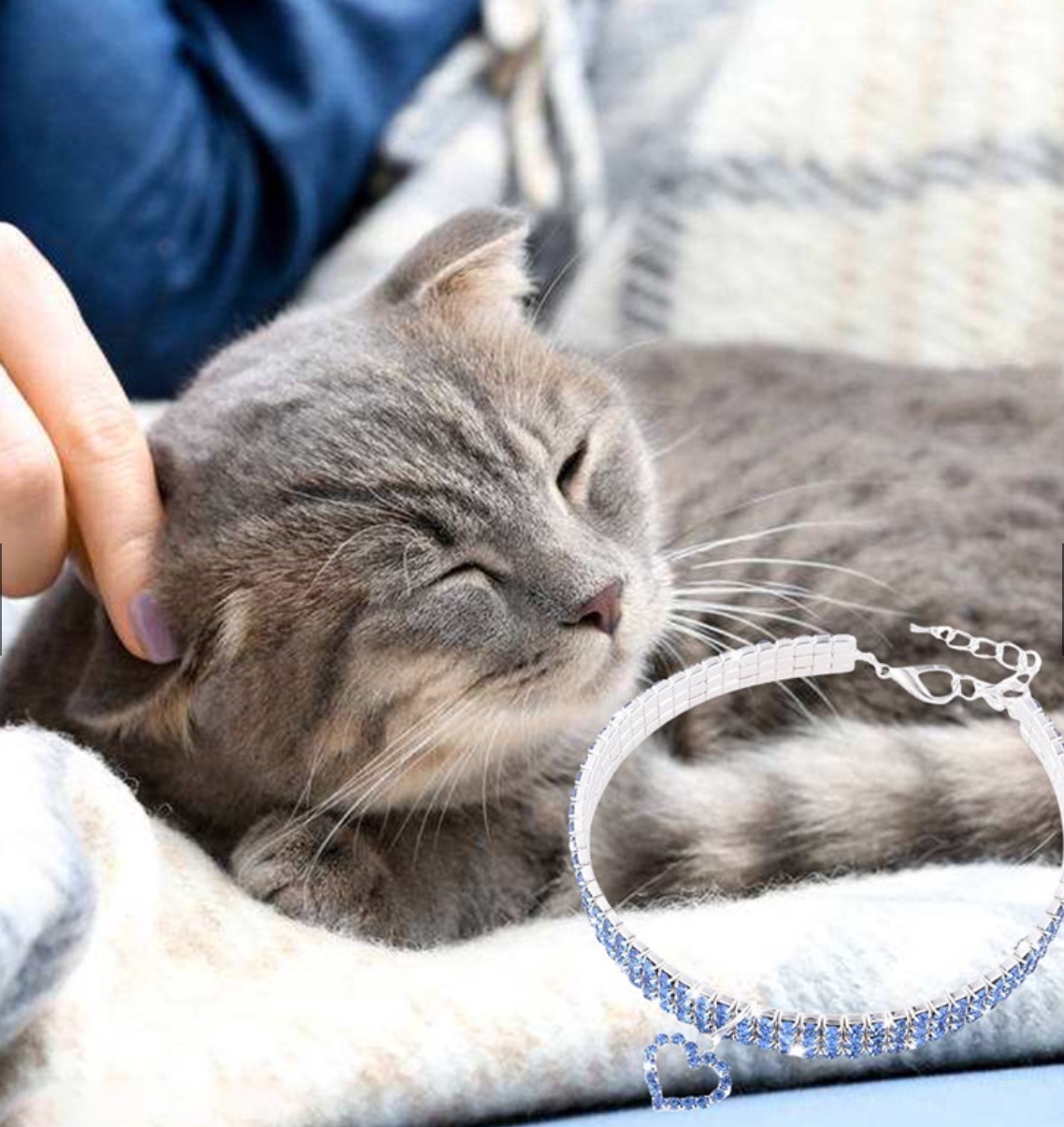 Phụ Kiện Chó Mèo - Vòng Cổ Đính Đá Pha Lê Sáng Bóng