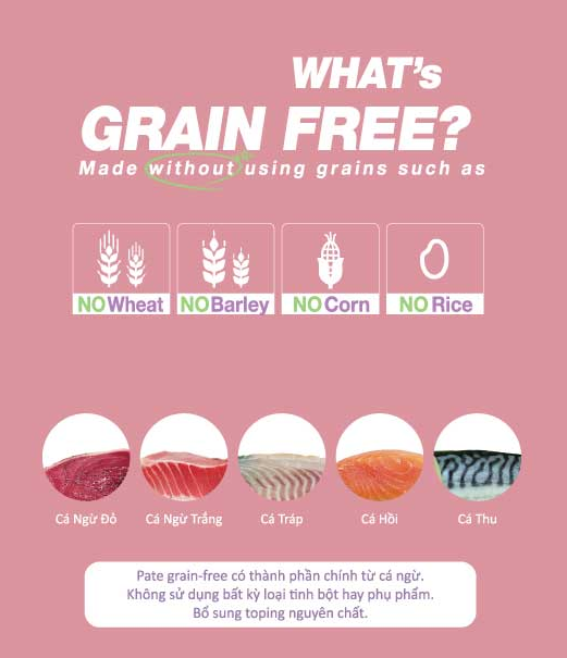 JOYNECO (60g) Bánh Thưởng Snack Thưởng - Pate Cho Mèo Mọi Lứa Tuổi