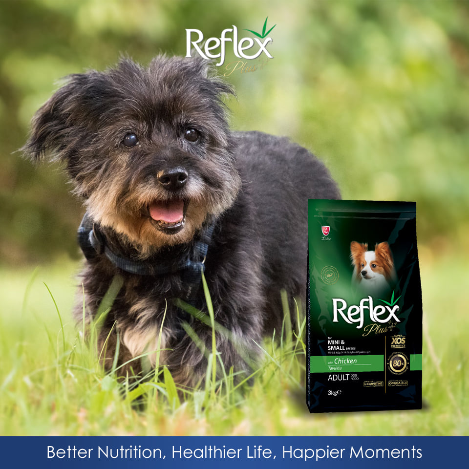 REFLEX PLUS Adult (3kg) Thức Ăn Hạt Khô Dành Cho Giống Chó Nhỏ và Siêu Nhỏ Đã Trưởng Thành