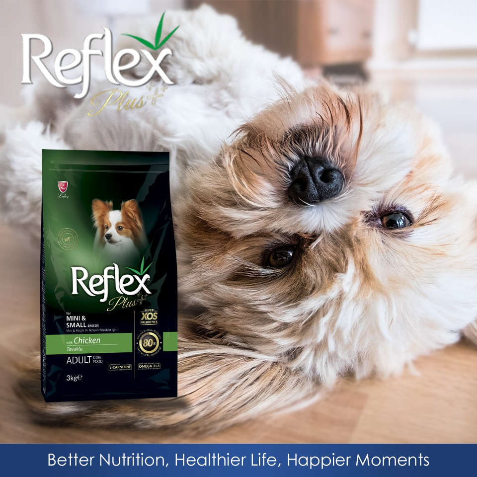 REFLEX PLUS Adult (3kg) Thức Ăn Hạt Khô Dành Cho Giống Chó Nhỏ và Siêu Nhỏ Đã Trưởng Thành