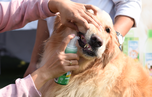 TROPICLEAN (133ml) Xịt Bọt Khử Mùi Hôi Miệng Và Ngừa Mảng Bám Cho Chó