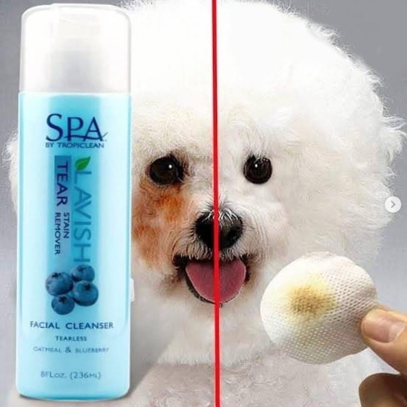 TROPICLEAN SPA Sữa rửa mặt tẩy vết ố vùng mắt cho chó, mèo - 236ml - Hàng nhập khẩu