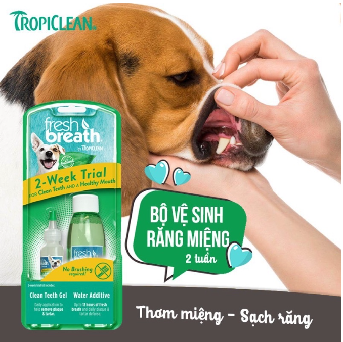TROPICLEAN Combo Vệ Sinh Răng Miệng Cho Chó Bao Gồm Gel và Nước Vệ Sinh Răng Miệng