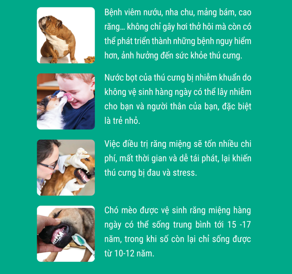 TROPICLEAN Combo Vệ Sinh Răng Miệng Cho Chó Bao Gồm Gel và Nước Vệ Sinh Răng Miệng