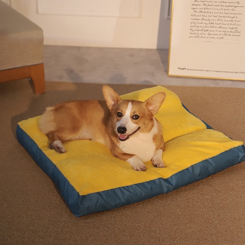 Nệm Cho Chó Mèo - Nệm Phẳng Dày, Mang Lại Giấc Ngủ Ngon Cho Chó Mèo