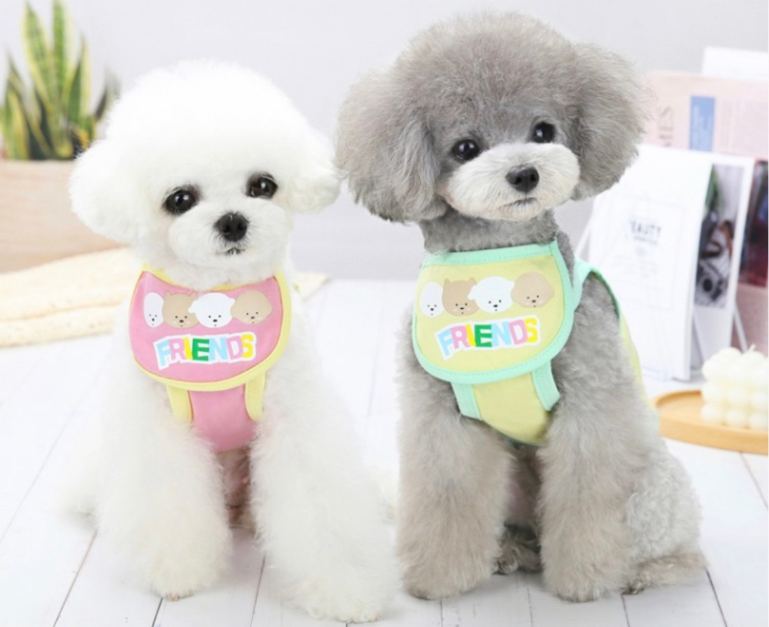 Áo cho thú cưng, áo hai dây in chữ Friends