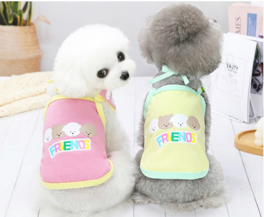Áo cho thú cưng, áo hai dây in chữ Friends