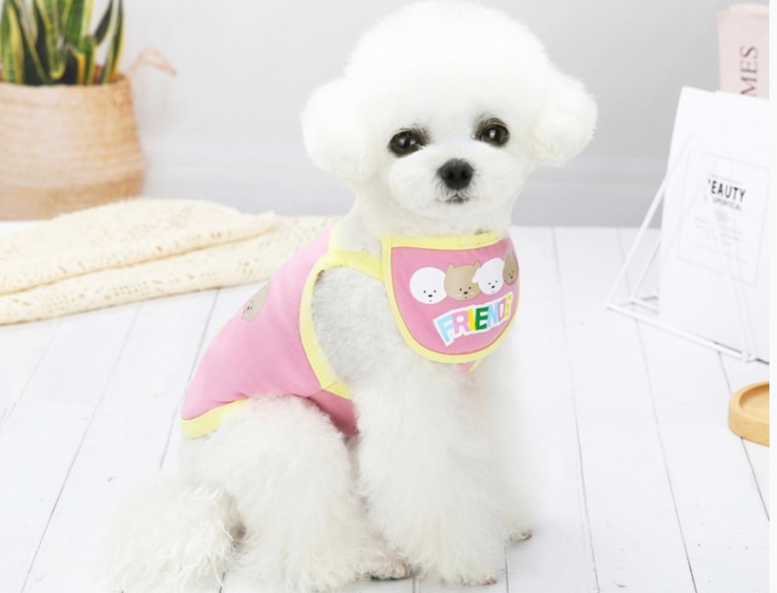 Áo cho thú cưng, áo hai dây in chữ Friends