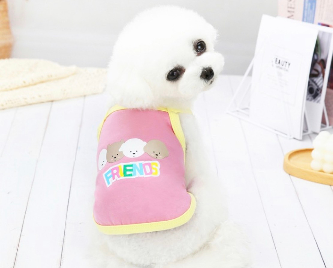 Áo cho thú cưng, áo hai dây in chữ Friends
