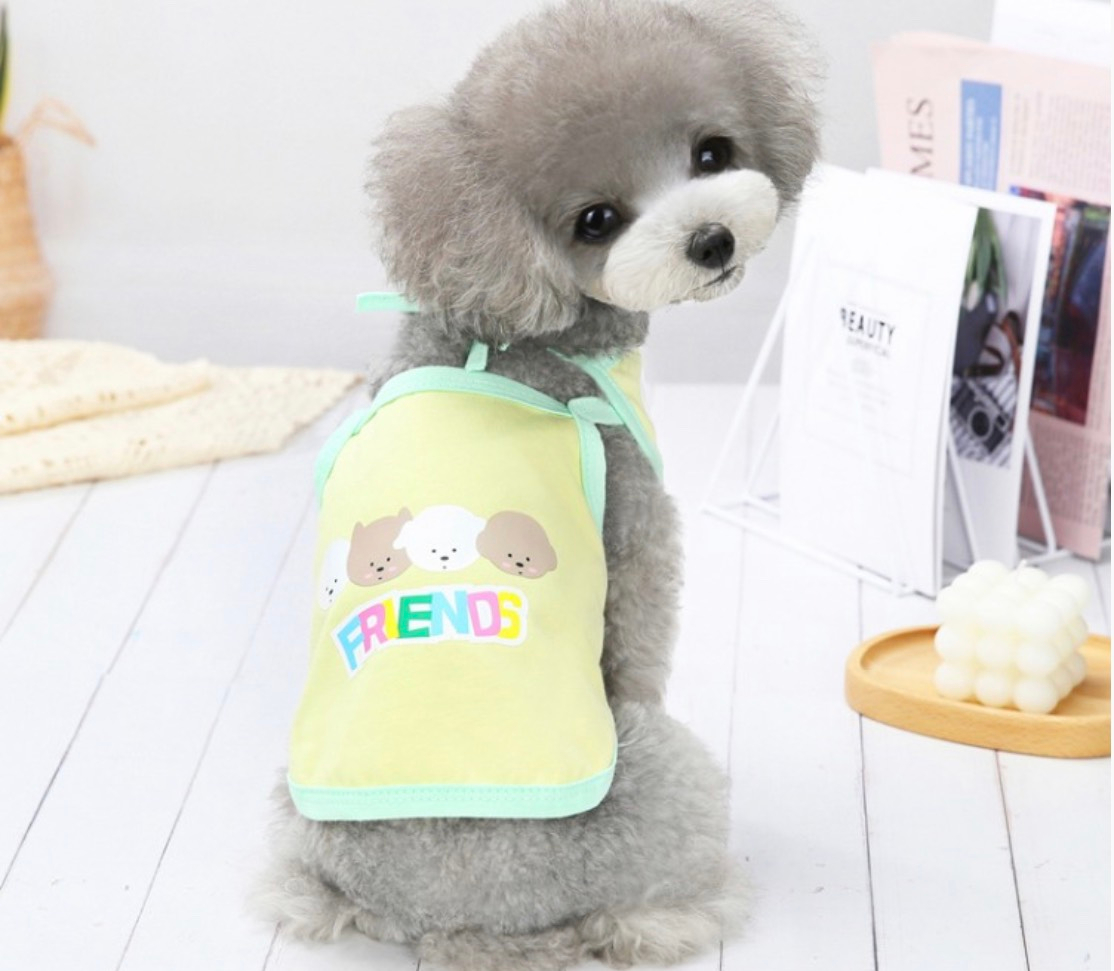 Áo cho thú cưng, áo hai dây in chữ Friends