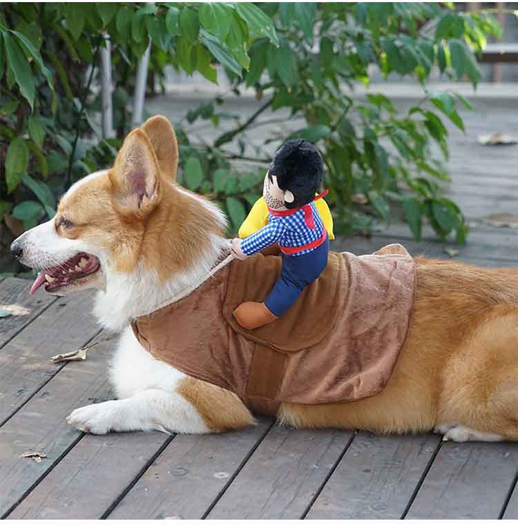Trang phục cao bồi cưỡi ngựa cho thú cưng size XL
