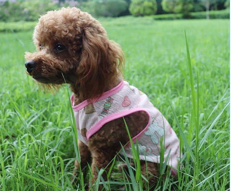Áo cho thú cưng, áo cộc tay hoa văn mùa hè xinh xắn
