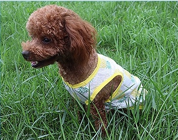 Áo cho thú cưng, áo cộc tay hoa văn mùa hè xinh xắn